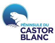 castor blanc